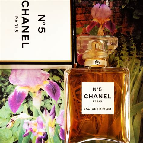 chanel numero 5 note|Chanel no 5 fragrance notes.